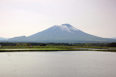 春霞の田植え - 岩手山