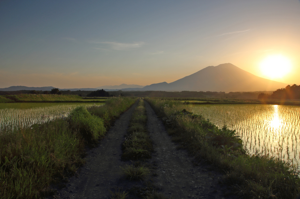 豊穣への道 - 夕陽