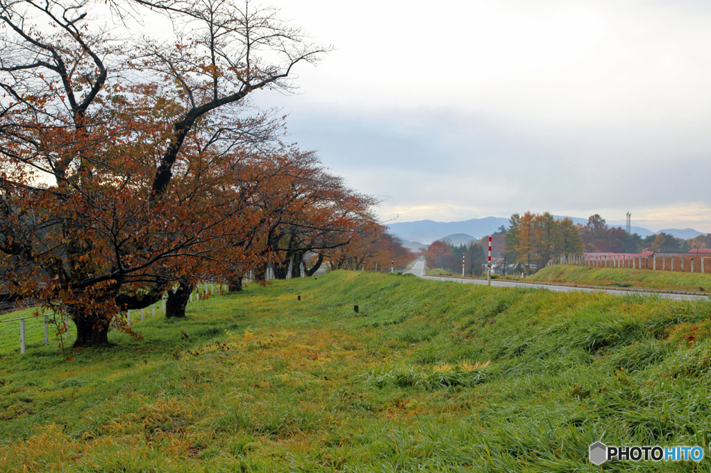 里の彩 - 小岩井農場Ⅳ