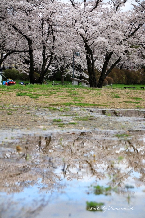 雨上がり