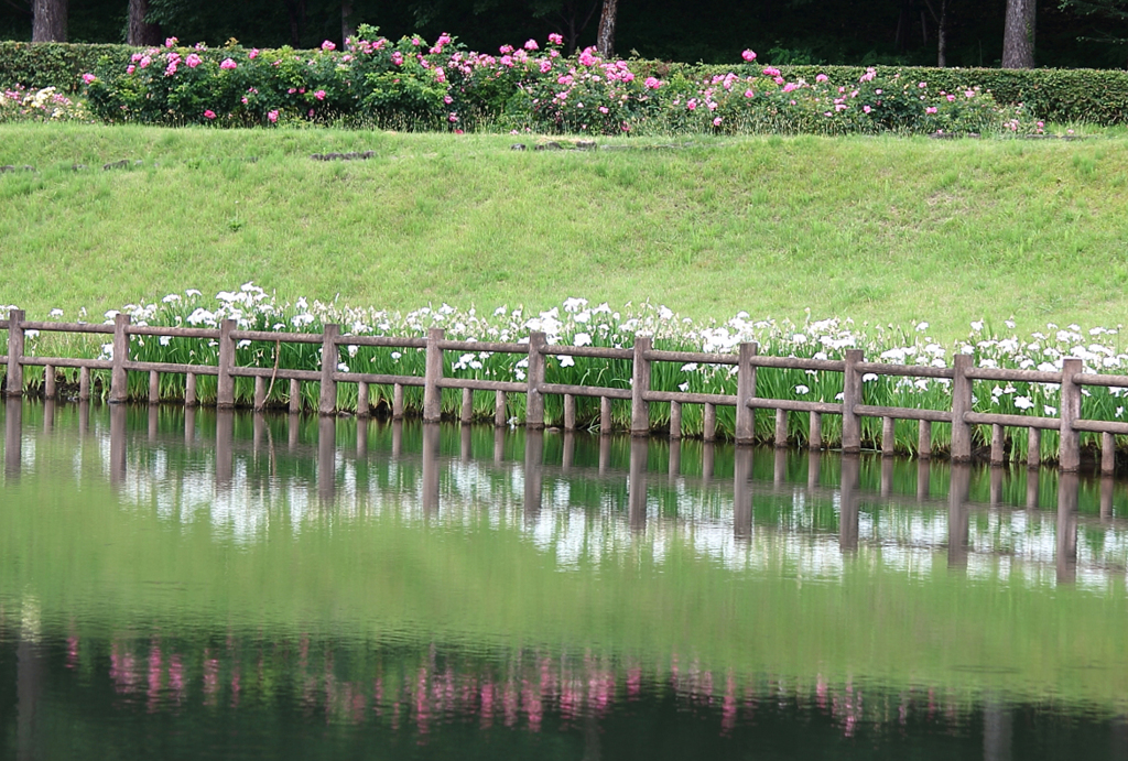 120706滝沢総合公園