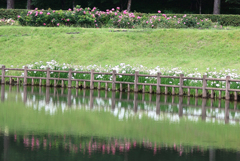 120706滝沢総合公園