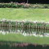 120706滝沢総合公園