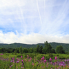 高原の初夏 (3)