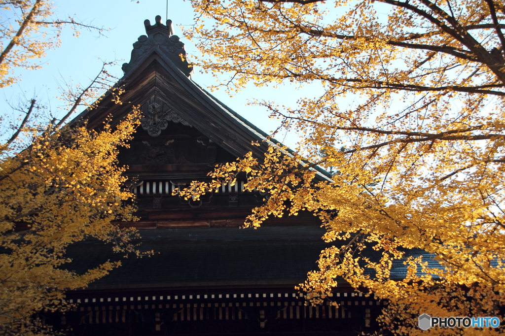 里の彩 - 本誓寺 Ⅱ