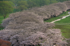 再訪 - 展勝地