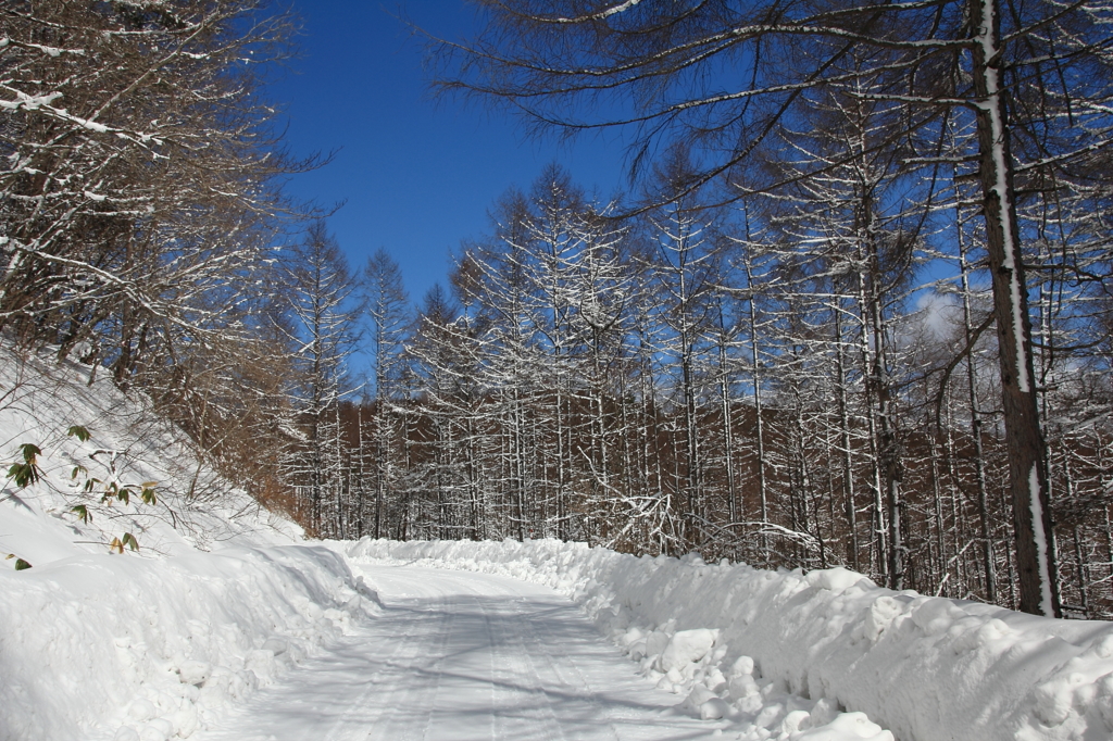 猛吹雪後の青空