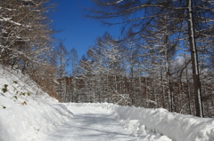 猛吹雪後の青空