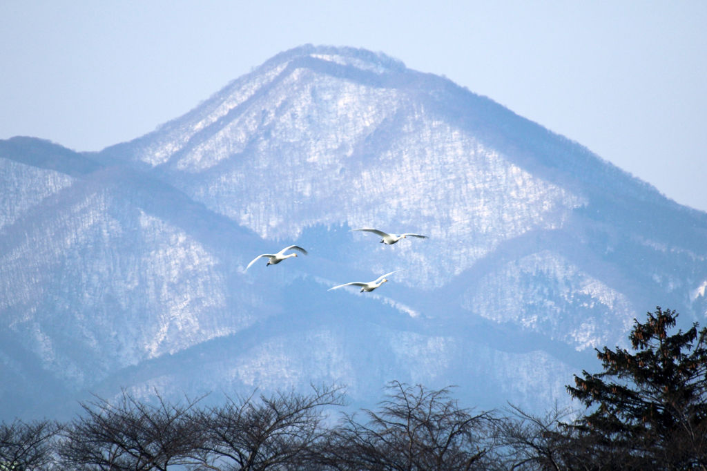 北帰行2015-Ⅴ