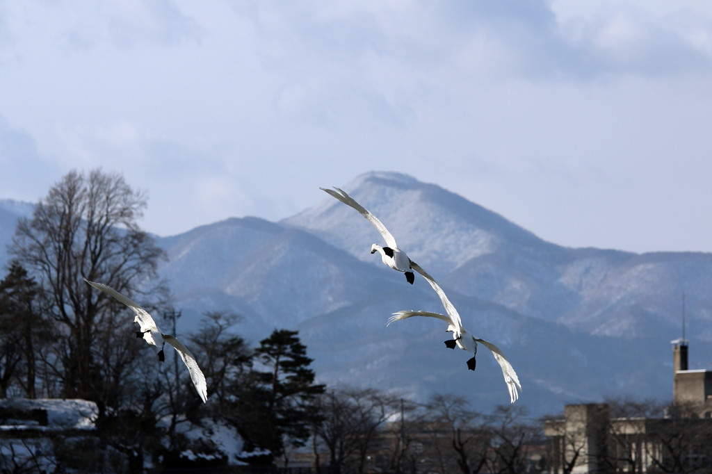 志和三山