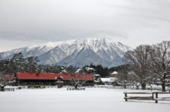 KOIWAI FARM - 鉛空2