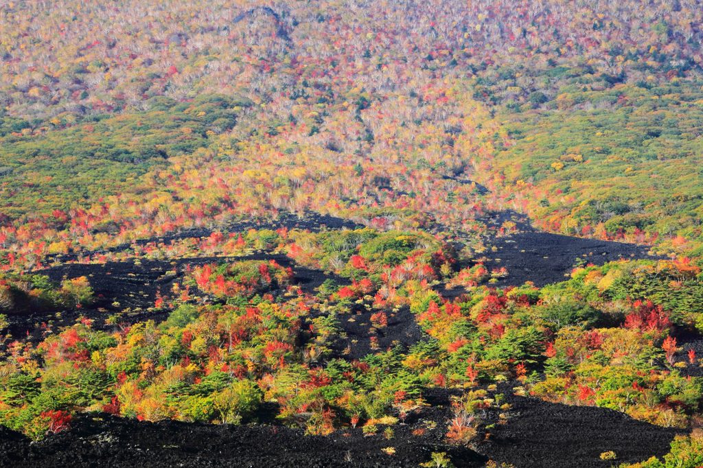 秋彩探し（岩手山-焼走り2）