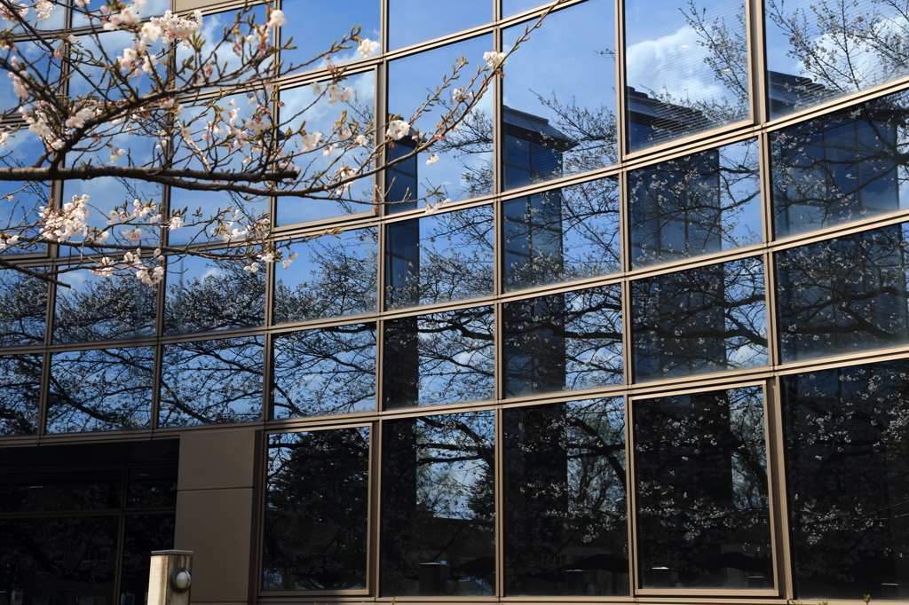 幾重 - 岩大中央図書館