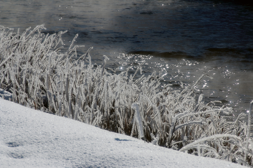 -10℃の朝 - 川霧4