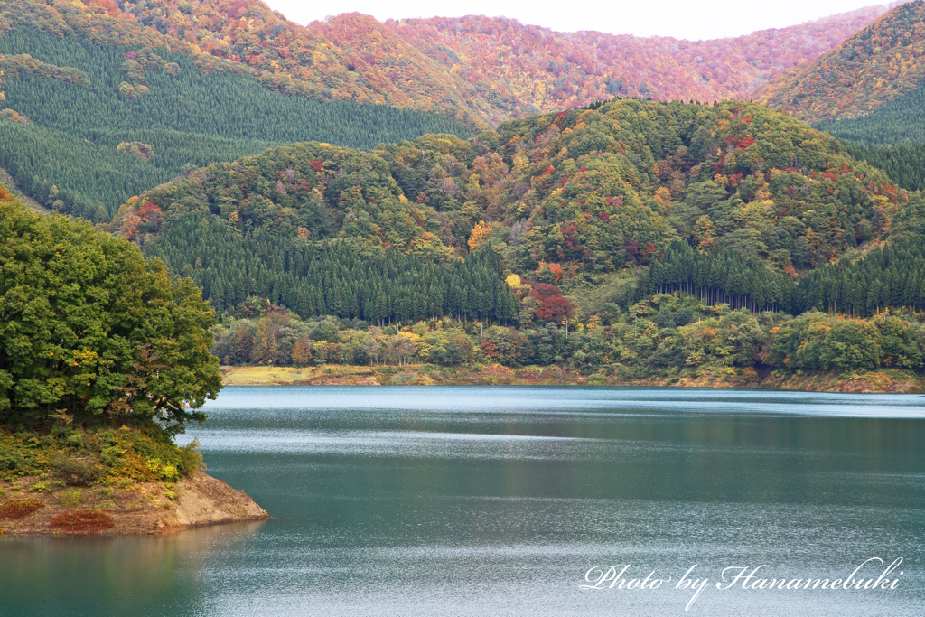 エメラルドの紅葉 - Ⅱ