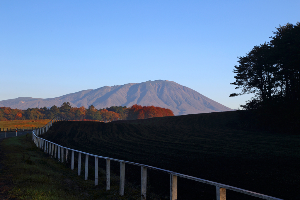 秋彩探し - 小岩井岩手山三昧 (畑)