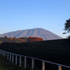 秋彩探し - 小岩井岩手山三昧 (畑)