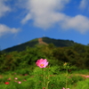 西岳 - 奥中山高原コスモスパーク