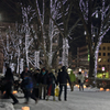 盛岡雪あかり 2015 - 10