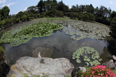 盛岡中央公民館2