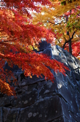 里の彩 - 石垣