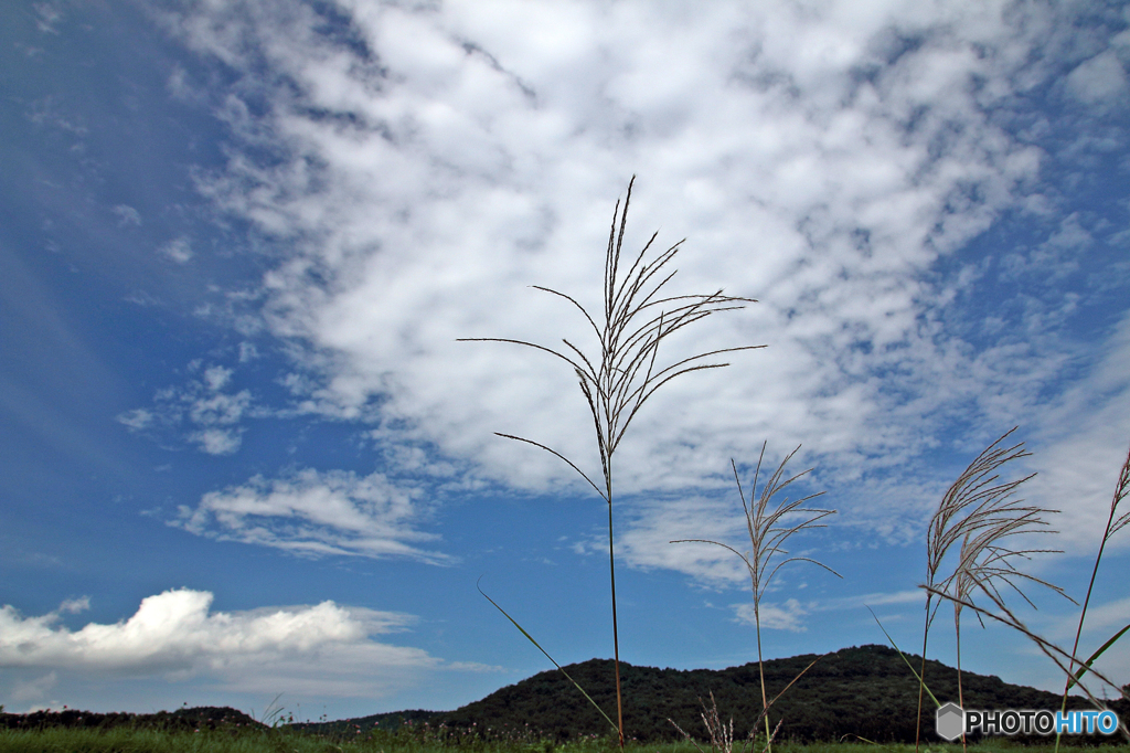 久しぶりの青空 - Ⅱ