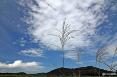 久しぶりの青空 - Ⅱ