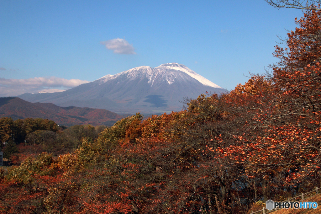 里の彩 - 冠雪の南部片富士