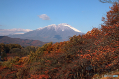 里の彩 - 冠雪の南部片富士