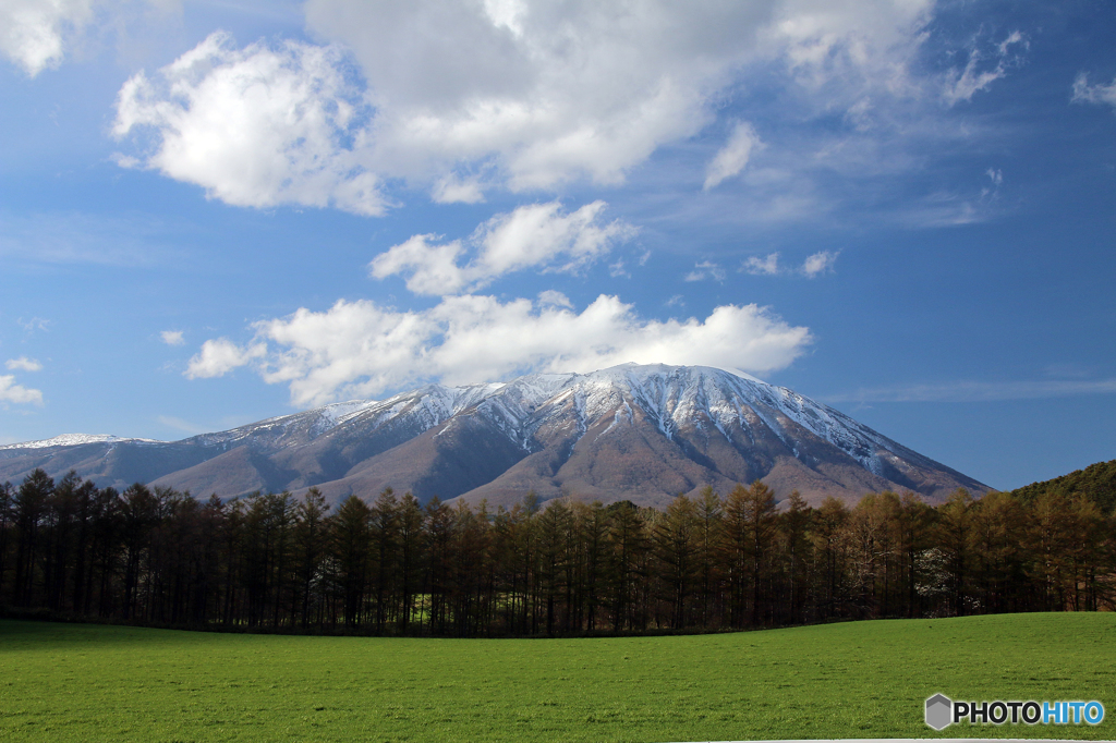 小岩井農場の春Ⅵ