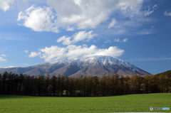 小岩井農場の春Ⅵ