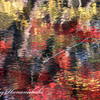 みちのく紅葉 - 盛岡城跡公園