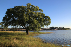 鶴の舞橋 - Ⅸ