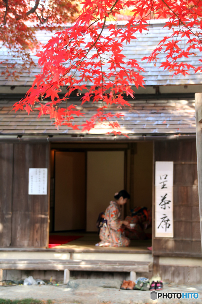 里の彩 - 盛岡市中央公民館Ⅱ
