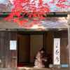 里の彩 - 盛岡市中央公民館Ⅱ