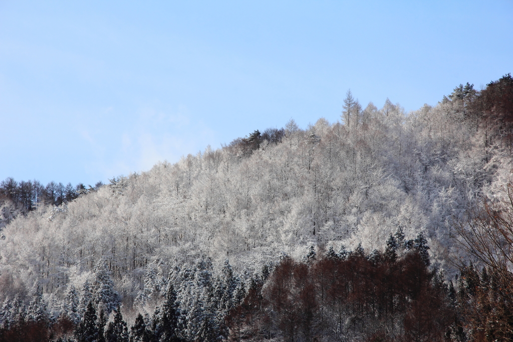 遠野雪景 - 綾織Ⅱ