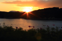 sunset　- 御所湖コスモスロード
