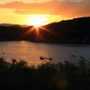 sunset　- 御所湖コスモスロード
