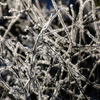 -10℃の朝 - 霜アート