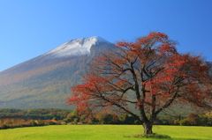 牧野の紅葉Ⅰ