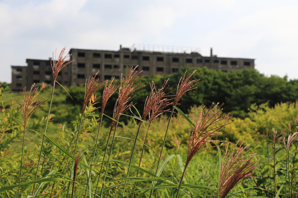 雲上の楽園-1