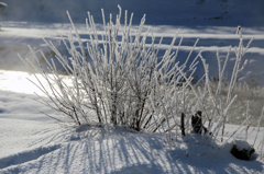 -10℃の朝 - 川霧