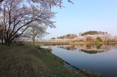 水鏡 - 高松の池7（芝水園）