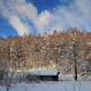 冬晴れ