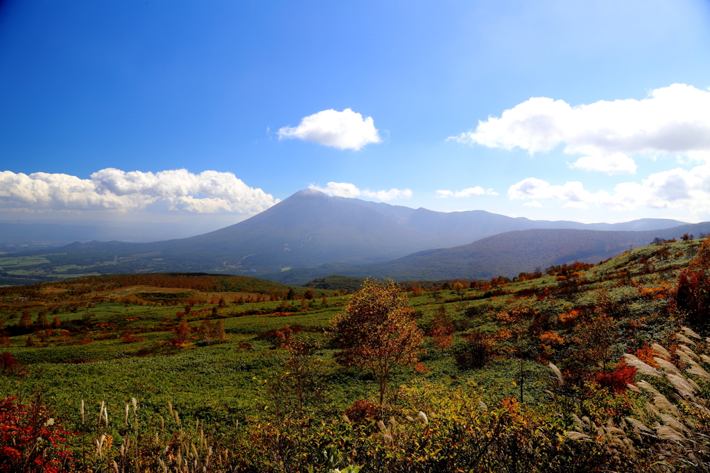 秋彩探し-裏岩手山