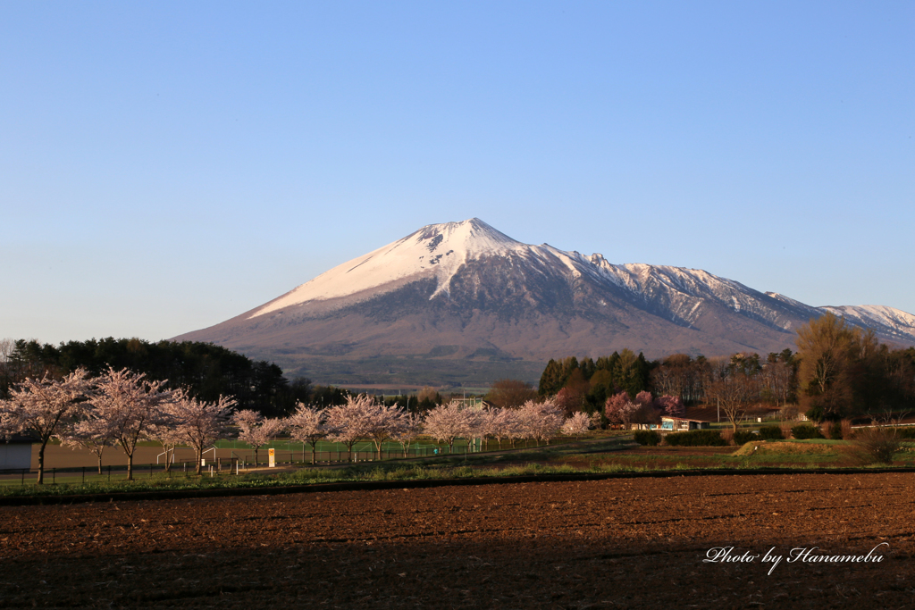 裏岩手の春Ⅱ