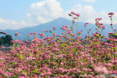 高嶺ルビーと姫神山