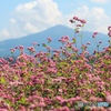 高嶺ルビーと姫神山