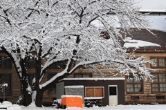 学び舎の雪の華