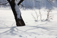 雪のキャンバス